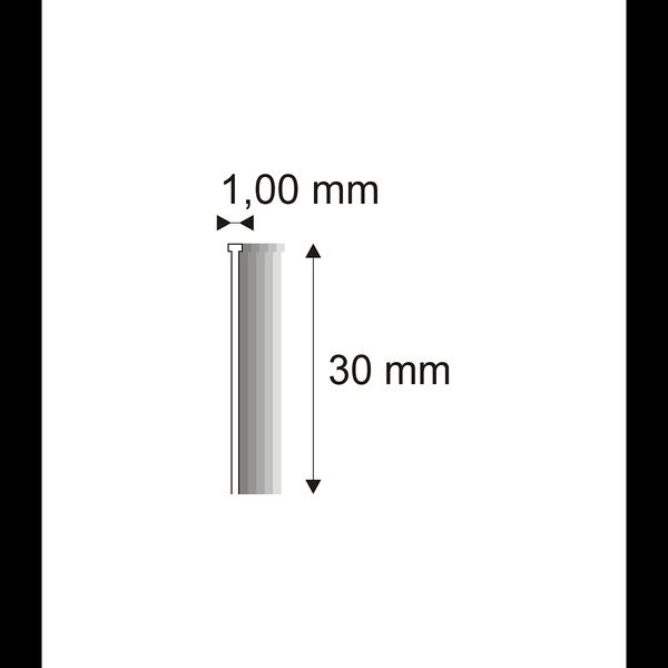 8595004301441.jpg